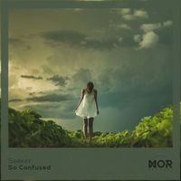 Seeker - So Confused