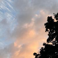Daniel Steinfels - Echolot im Sommer