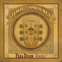 Toad the Wet Sprocket - Fall Down (Acoustic)