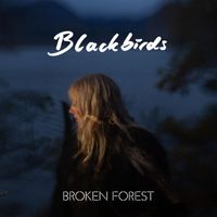 Broken Forest - Blackbirds