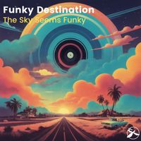Funky Destination - The Sky Seems Funky