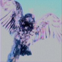 2003 - IN THE DARK (Explicit)