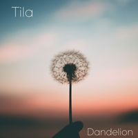 Tila - Dandelion