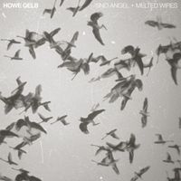 Howe Gelb - 'Sno Angel + Melted Wires