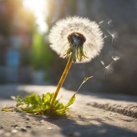 Dr. Feelgood - Löwenzahn Overdose