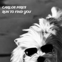 Carlos Pires - Run To Find You