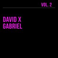 David X Gabriel - David X Gabriel, Vol. 2