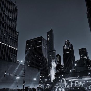 butterfly - Stubborn