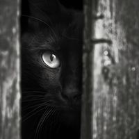 yuco - Mysterious