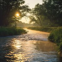 yuco - Serene Streams
