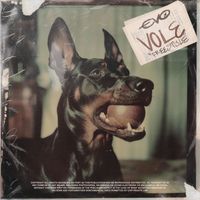 evo - Vole Freestyle