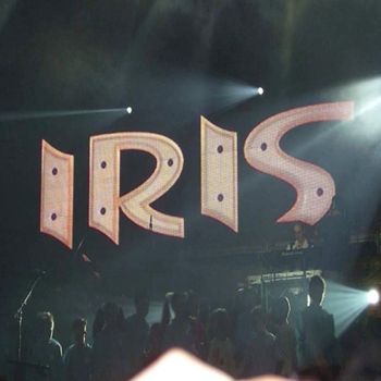 Iris - Maxima