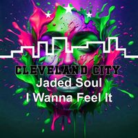 Jaded Soul - I Wanna Feel It