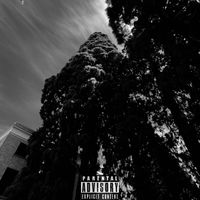 Jae - EL Fin (Explicit)