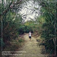 JahVibe - JahVibe Meets A.L.T.A.F.A.A.N. Records