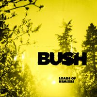 Bush, Corey Britz - Glycerine (Corey’s Bedroom Mix)