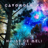 Gatokosmiko - Hojas de Meli Remixes