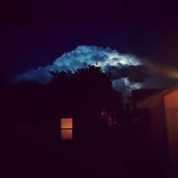 ABM - All The Flowers in Scotland Vol II