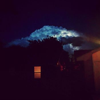 ABM - All The Flowers in Scotland Vol II