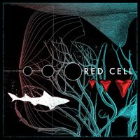 Red Cell - White Sharks