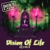 Down Low - Vision of Life - Remix (Remix)