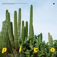Wun Two - pico