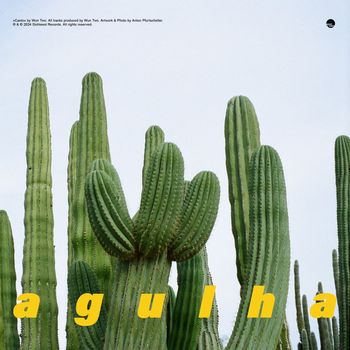 Wun Two - agulha
