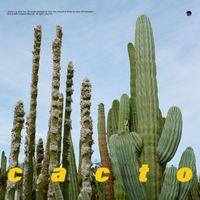 Wun Two - cacto