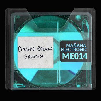 Dylan Brown - Promise