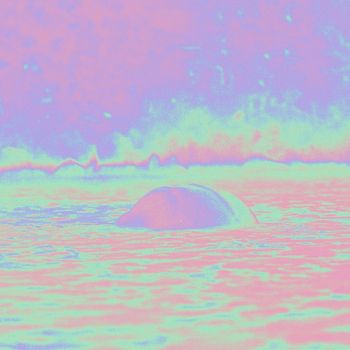 Olmo, Polygonia, Noah Becker - Whatever Works (Polygonia Remix)