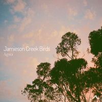 Agua - Jamieson Creek Birds