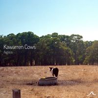 Agua - Kawarren Cows