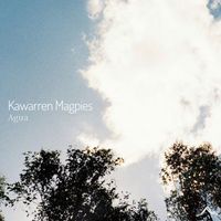 Agua - Kawarren Magpies