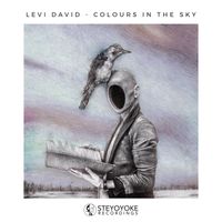 Levi David - Colours in the Sky