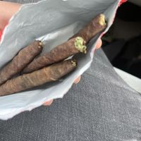 Ron - Backwood Everyday (Explicit)