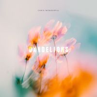 Chris Wonderful - Dandelions