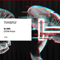 DJ Br1 - Chtw Promt