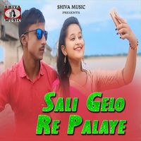 Palash Sen - Sali Gelo Re Palaye