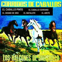 Los halcones de Salitrillo - Corridos de caballos