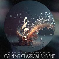 Exam Study Classical Music Orchestra - Calming Classical Ambient