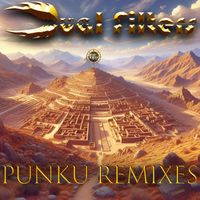 Dual Filters - Punku Remixes