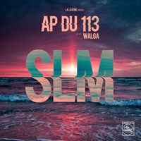 AP du 113 - SLM (Explicit)
