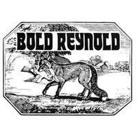 David Carroll - Bold Reynold