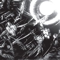 The Bug - Bodied (Send For the Hearse)