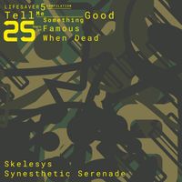 Skelesys - Synesthetic Serenade
