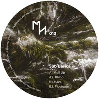 Sub Basics - Rhino