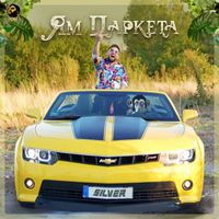 Silver - Ям паркета