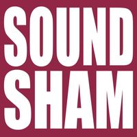 The Saw Doctors - Sound Sham
