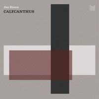 Jim Rivers - Calycanthus