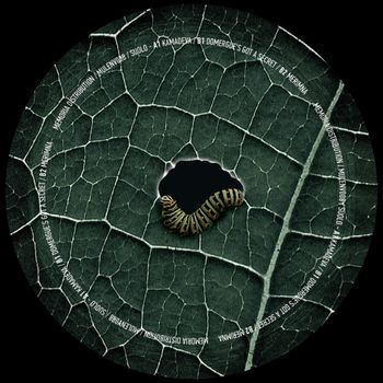 Suolo - MULENV008